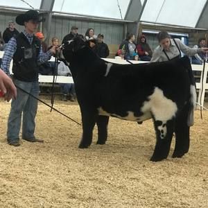 Meet your Posher, Jason